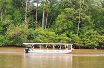Private Puntarenas Shore Excursion: Tarcoles River Boat Tour at the Jungle