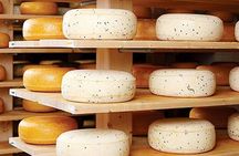 Ensenada Shore Excursion: Wine and Cheese Tour with Lunch in Ojos Negros Valley