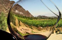 Ensenada Shore Excursion: Wine and Cheese Tour with Lunch in Ojos Negros Valley