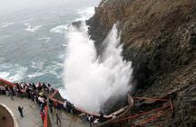 Ensenada Shore Excursion: Blowhole and La Bufadora Tour with Horseback Riding