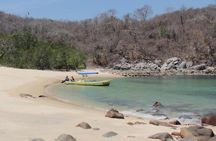 Huatulco Shore Excursion: Seven Bays Private Tour