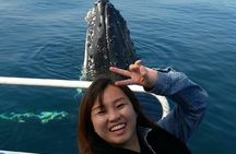 Whale Watching Dunsborough