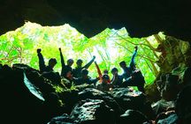 Explore Mt. Fuji Ice Cave in Aokigahara Forest