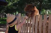 Private Full-Day Beijing Wildlife Park Tour