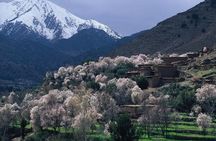 Private Day Trip to the High Atlas Mountains from Marrakech