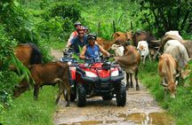 Half-Day Adventure 4x4 ATV, Water Cave and Dominican Culture 
