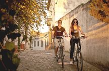 Zooming Through Granada: A Fun-Filled Electric Bike Tour