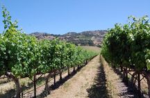 8 Hour Private Tour in Napa Valley Winery