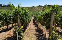 Custom 8-Hour Napa Valley Wine Tour in a Luxury Vehicle