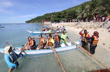 Oslob Whale Shark and Kawasan Falls Day Tour