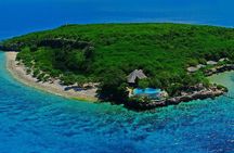 Oslob Whale Shark and Sumilon Day Tour