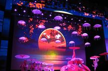 Beijing Night Tour- Acrobatic Show with Transfer