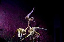Beijing Night Tour- Acrobatic Show with Transfer