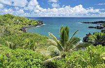Small-Group Road to Hana Adventure Tour with Pickup & Lunch