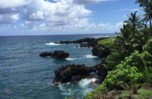 Small-Group Road to Hana Adventure Tour with Pickup & Lunch