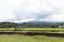 FIELDS OF GOLD Mountain Biking Tour Chiang Mai
