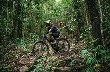 Numb Trail Mountain Biking Tour Chiang Mai