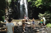 Private Tour: Tropical Rainforest and Waterfalls Day Trip from Cairns