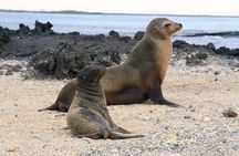 5-Day All-Inclusive Galapagos: Isabela and Santa Cruz Island