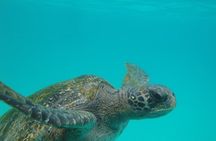 4 Days Galapagos Land Tour - Visiting San Cristobal Island