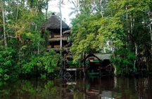 4-Day Ecuador Amazon Jungle Tour - Lodge in Cuyabeno Reserve