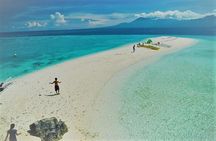 Oslob Whaleshark with Sumilon Island