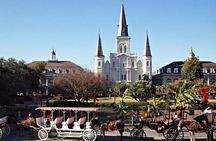 Private French Quarter Walking and City Surrounding Neighborhoods Driving Tour
