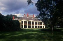 New Orleans City Wide and Plantation Driving Tour