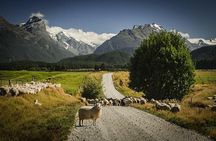 Private Tour Full Day Queenstown and Southern Lakes Photography Tour