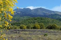 Etna morning tour from Syracuse