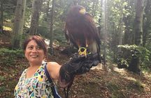 Medvednica Nature Park Falconry Tour from Zagreb