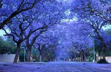 Pretoria Capital City Tour from Pretoria, every TUESDAY