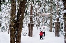 Medicine Trail Snowshoe Tour 