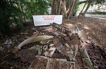 Bombing of Darwin World War II Tour with Harbour Cruise