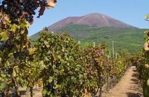 Amalfi Coast with Wine Tasting - Private Driving Tour from Rome