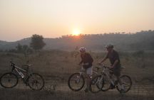 Jaipur Village Cycling Safari