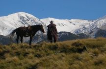 Rubicon Valley Horse Treks - 2 Hour River Trail Horse Trek