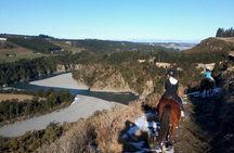 Rubicon Valley Horse Treks - 2 Hour River Trail Horse Trek