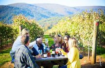 Maipo Valley Wine Tour with 4 vineyards from Santiago.