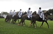 Lima: Premium Peruvian Horse Show with Lunch & Transfers