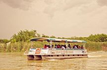 Private Black River Safari Tour from Montego Bay
