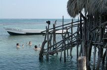 Private Appleton Estate Rum and Pelican Bar Tour from Montego Bay