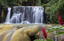 Private Appleton YS Falls and Black River Tour from Montego Bay