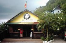 Private Nine Mile Tour from Montego Bay