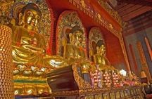 Foshan Cultural One Day Tour including Ancestral Temple & Nanfeng Ancient Kiln