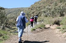 1-Day Hiking Adventure at Mount Longonot from Nairobi