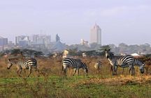 Nairobi National Park Half-Day Tour; Free Wi-Fi connection