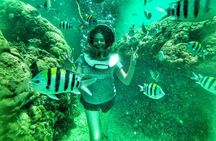 Bali Parasailing Adventure