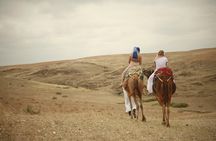 Camel ride and magical dinner in Agafay desert