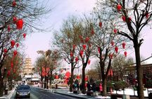 4 Hours Xian Tour of City Wall and Big Wild Goose Pagoda